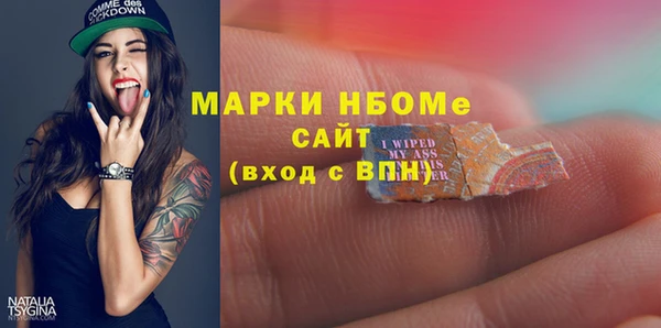 трава Карпинск