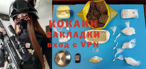 трава Карпинск