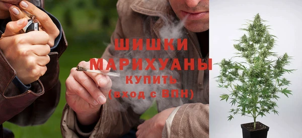 трава Карпинск