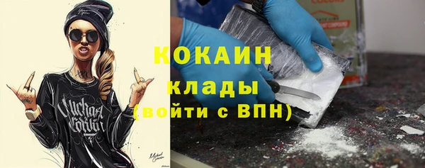 трава Карпинск