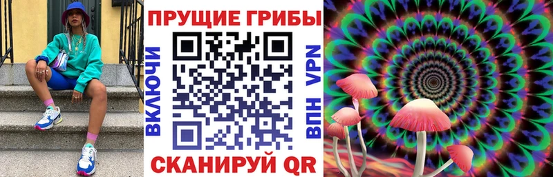 Галлюциногенные грибы мицелий  Купить  Заозёрный 